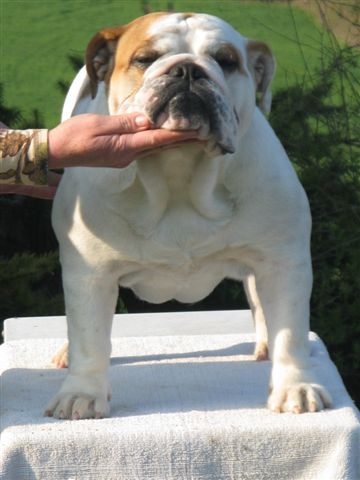 Eming Way of Richard Croze