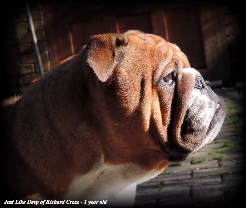 Just like deep of Richard Croze