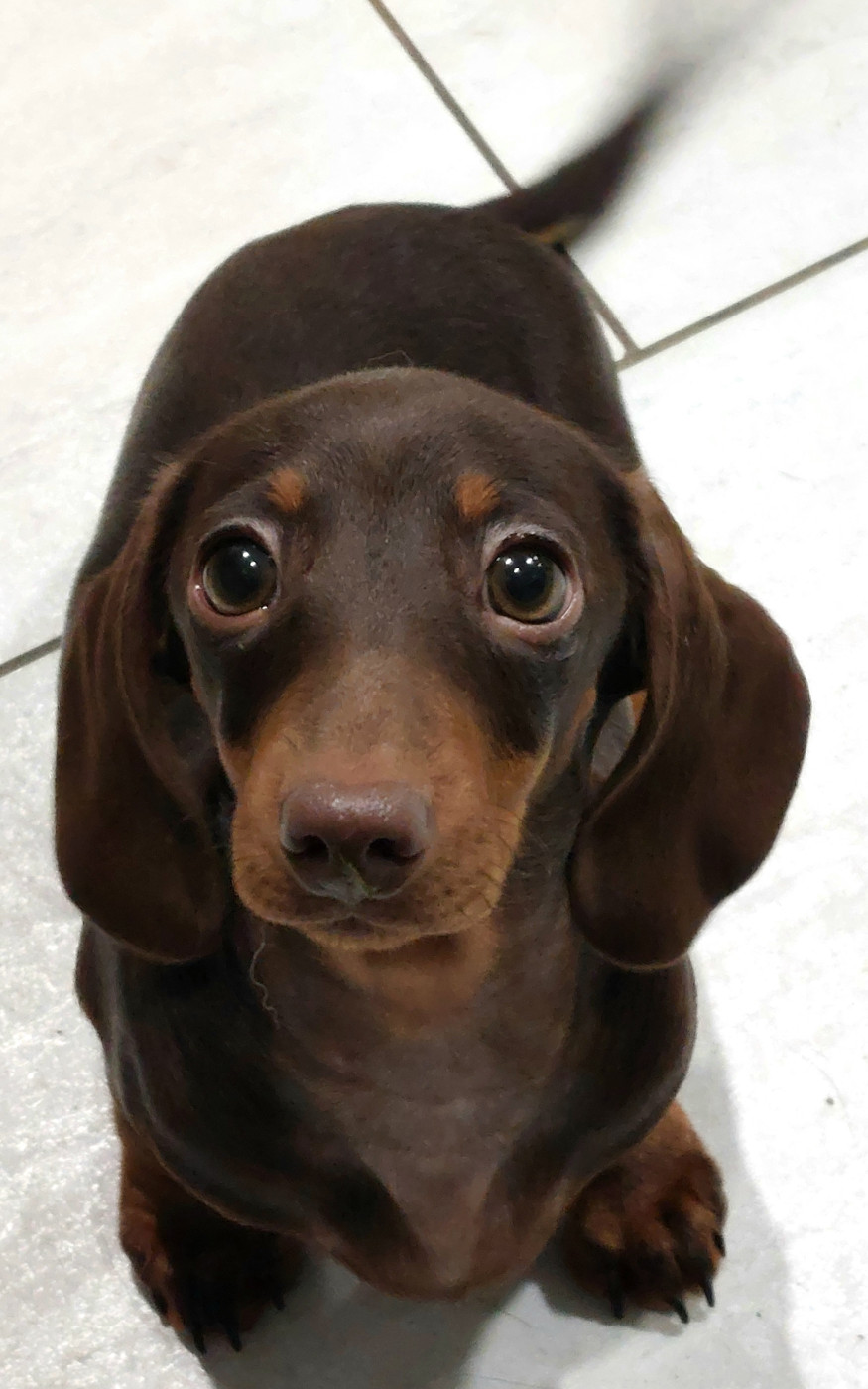 Gabéric's Arpege de lanvin